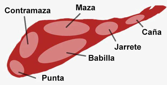 ¿Cuáles son las partes de un jamón?